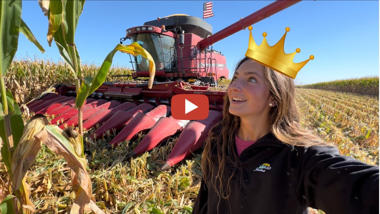 Laura Farms Queen Of The Farm Case ih 7230 combine Corn harvest