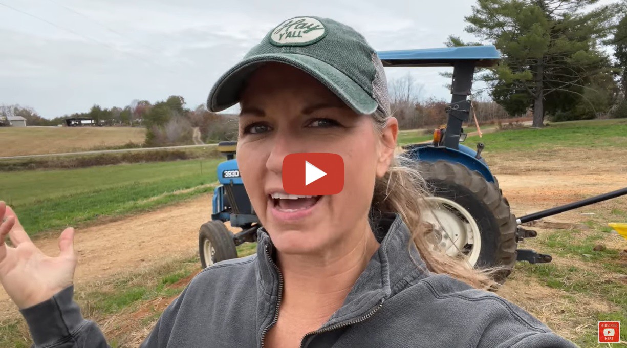 This Farm Wife Meredith Bernard Almost Finish Cutting Beans And   Saadd 