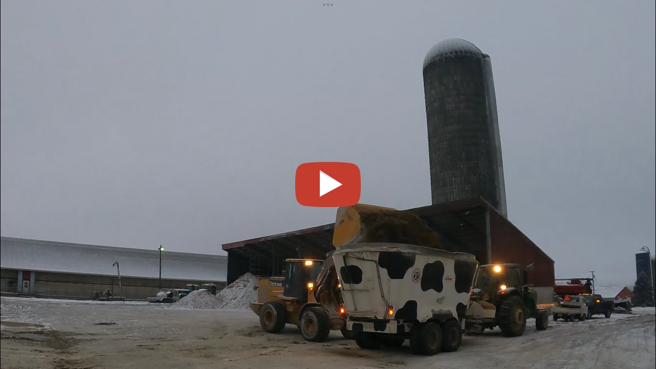 Mixing feed 2023 and Feeding cows.....with John Deere tractor