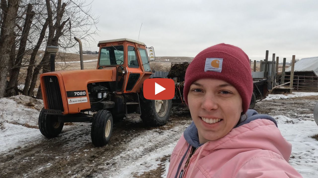 ^Rachel's Hauling Manure with Allis Chalmers and Gehl loader ...