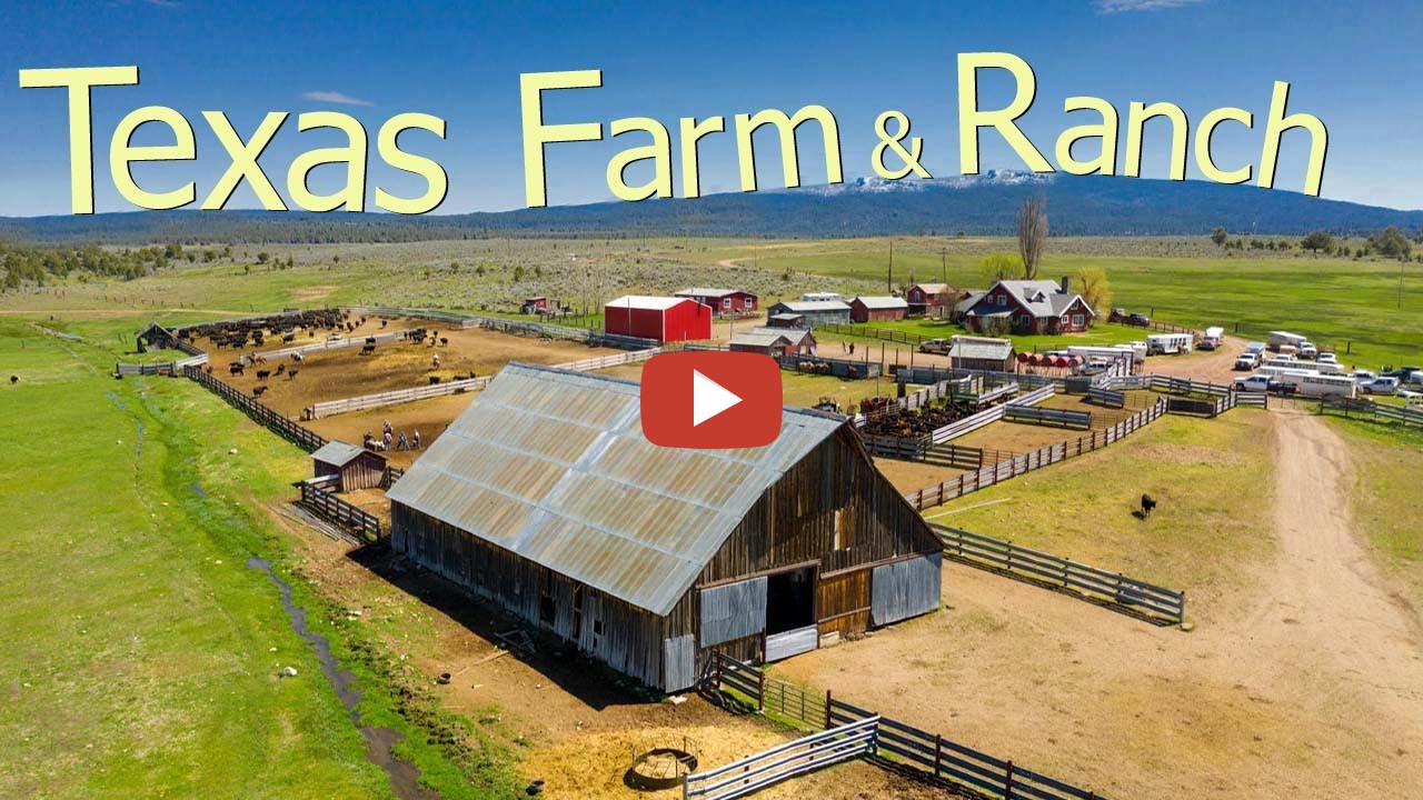How Texas Farmers Are Running 247000 Farms And Ranches With 127