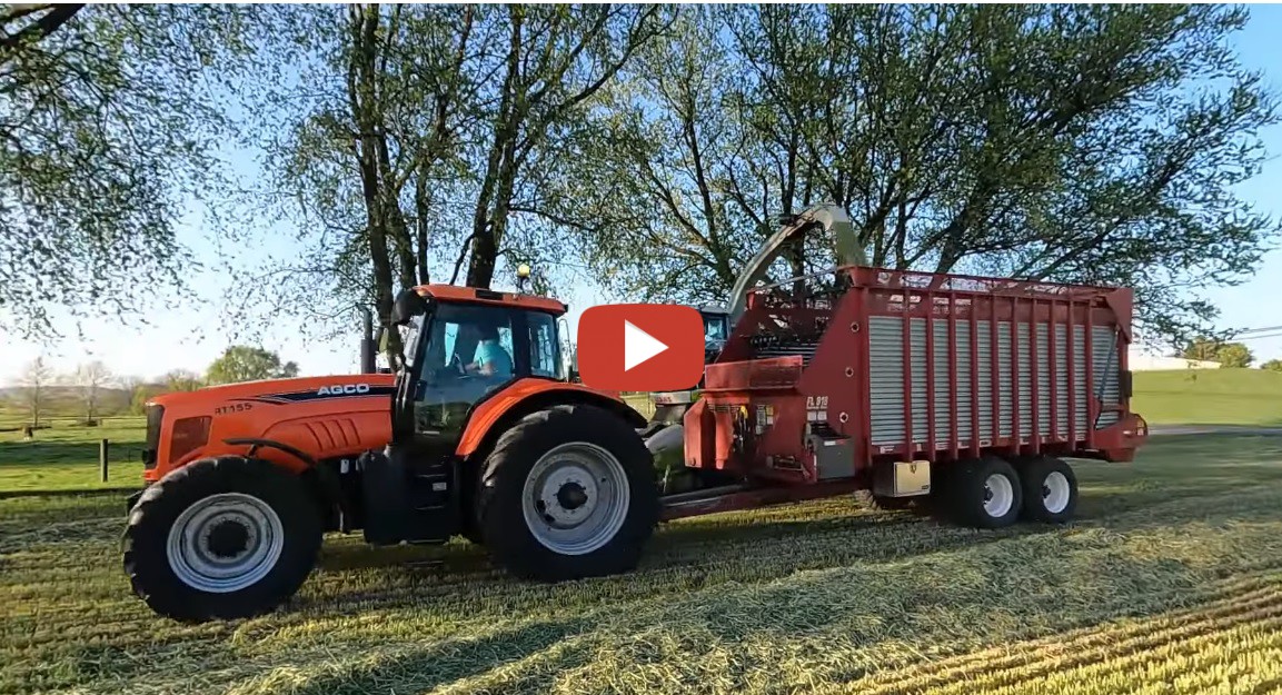 10th Generation Dairyman - Spring 2023 - Rye harvest mowing and