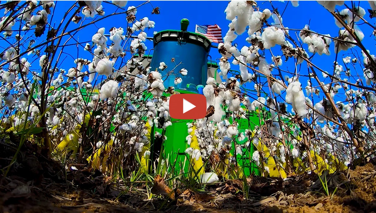 To Griggs Farms An Introductory video to Griggs Farms LLC, a 5th generation family