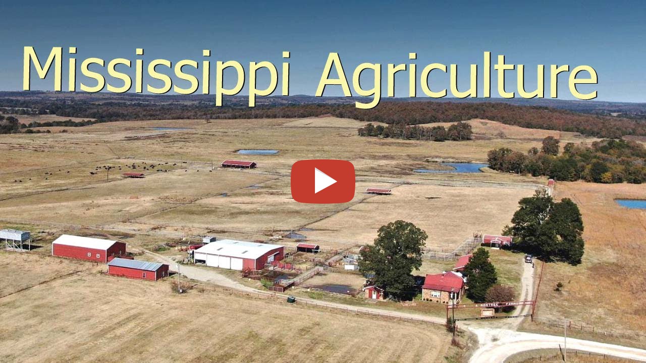 How Farmers In AMERICA'S POOREST STATE Use 10,4 Million Acres Of