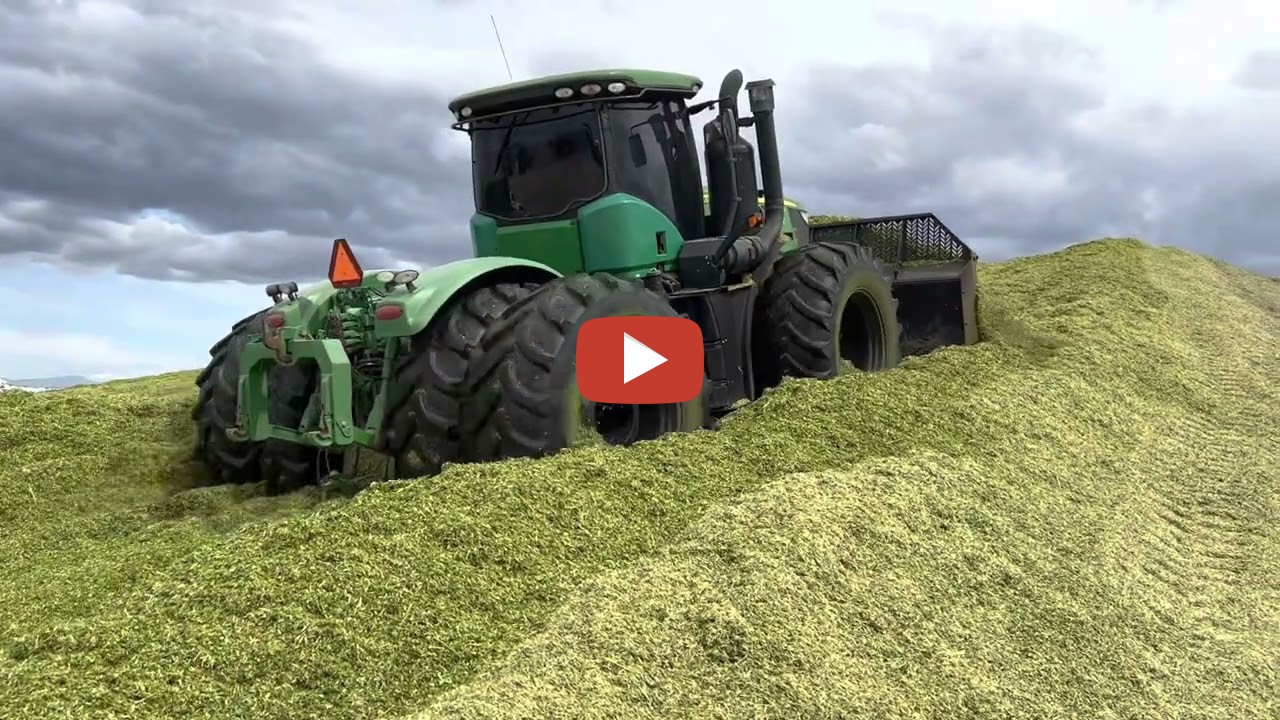 Califarmer30 -- Silage season 2023 with Claas Jaguar choppers and John ...