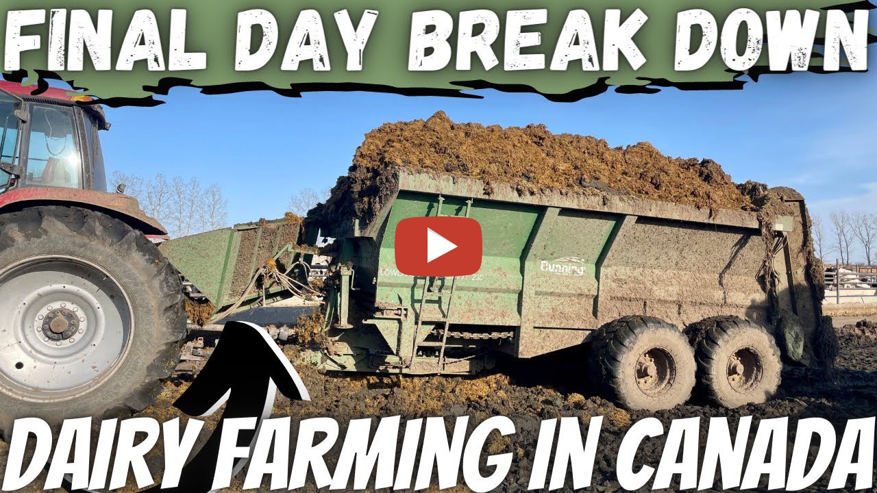 Wagon Break Down and Equipment Clean Up! Spreading manure with Case ih