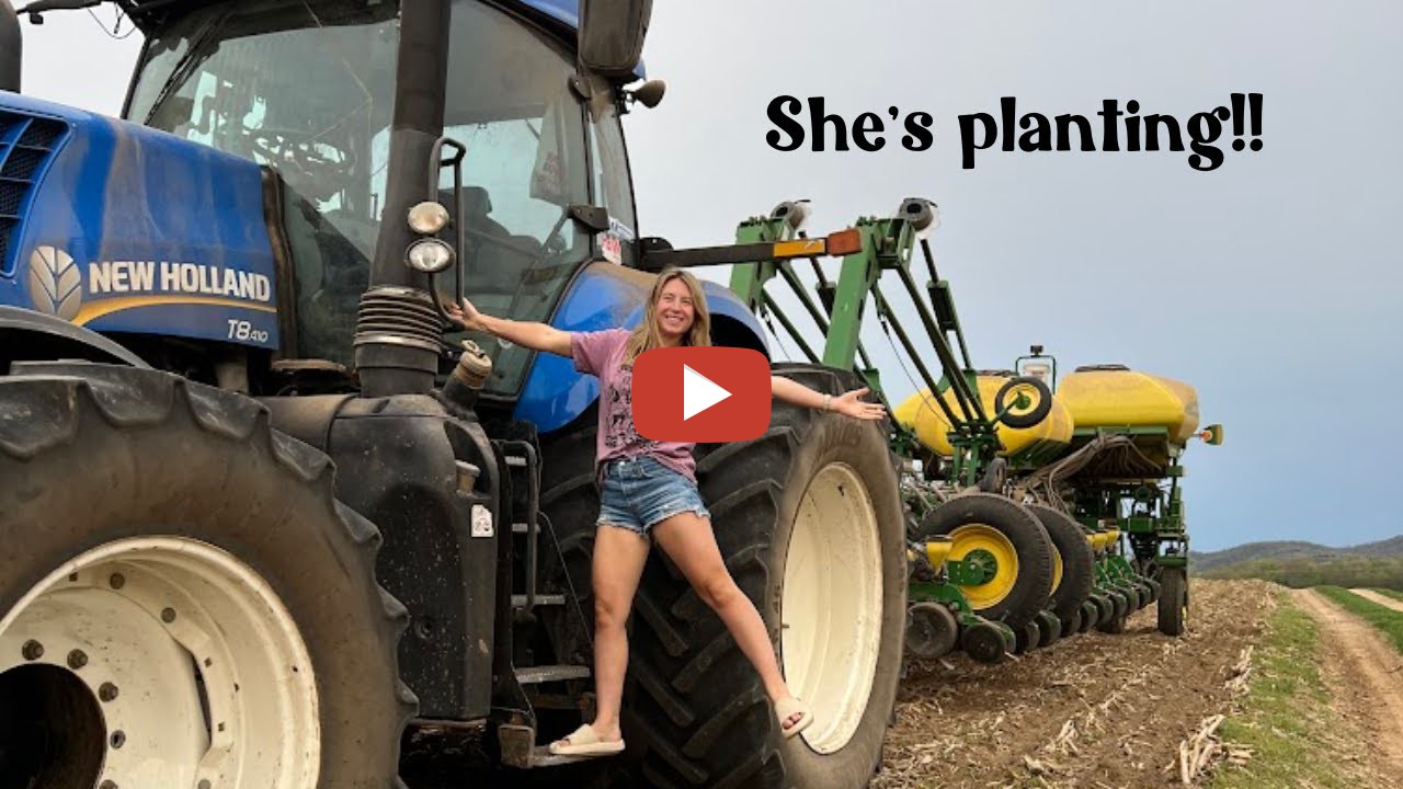 Planting Emily's field IT'S HAMMER DOWN TIME, BOYS AND GIRLS! Let's