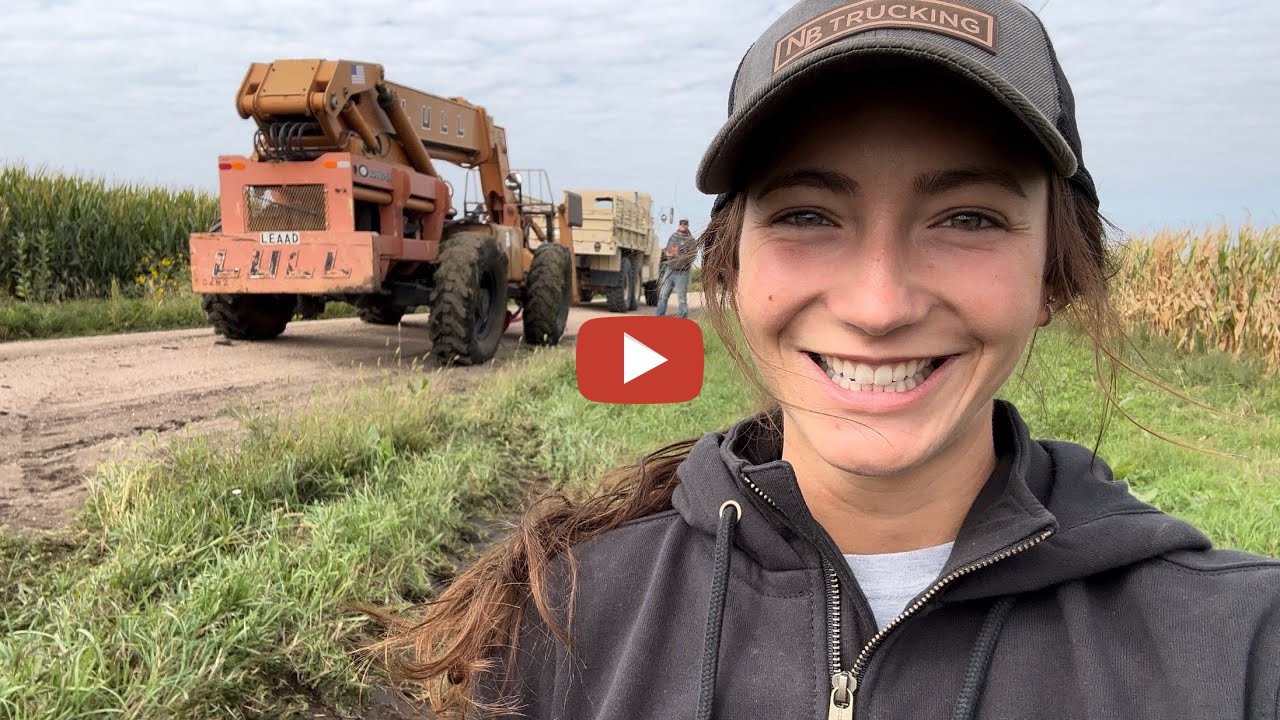 Laura Farms -- Stuck Telehandler Recovery Soybeans harvest is nearby