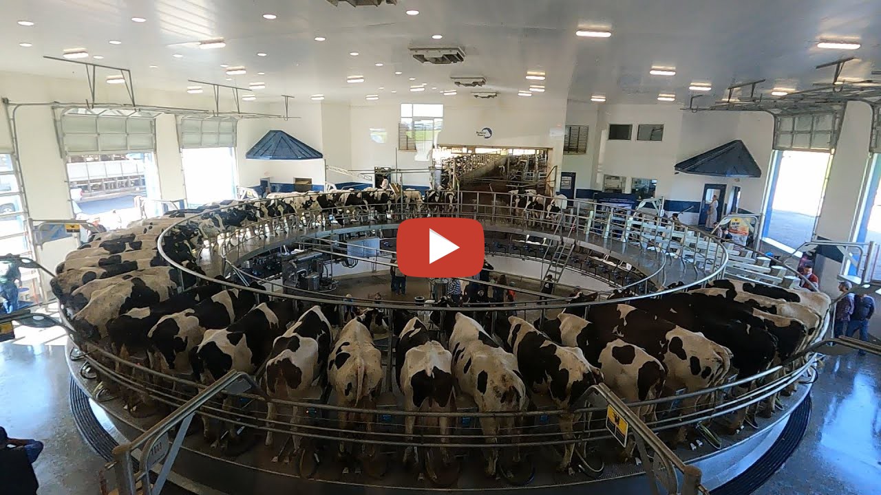 10th Generation Dairyman -- Visiting a 60 Stall Rotary Milking Parlor ...