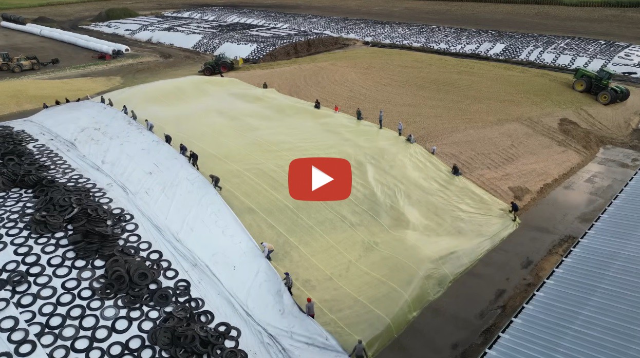 Piet van Bedaf ND Dairy Farmer Silage Pile on a Dairy Farm This