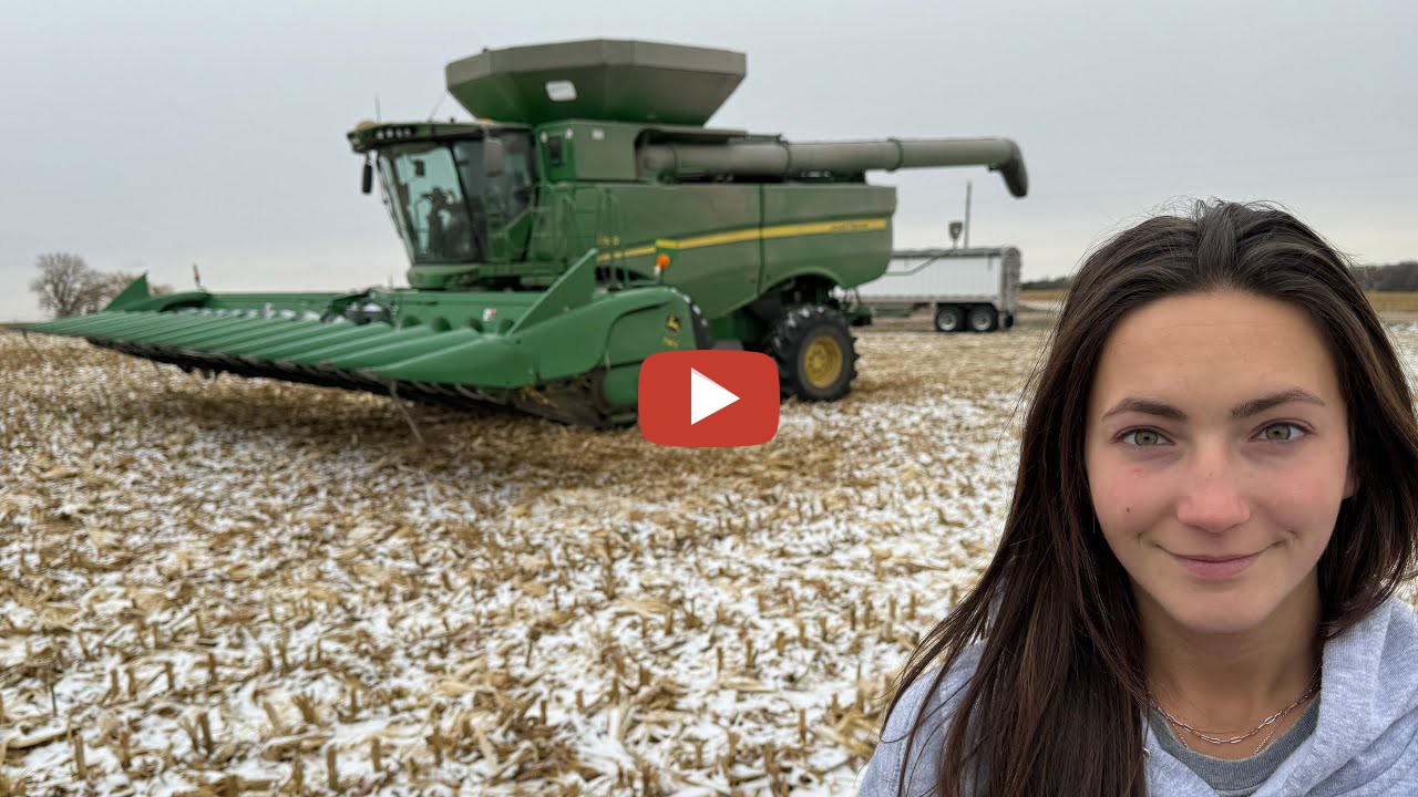 Laura Farms Our Corn Got Snowed On! It's winter in Nebraska....