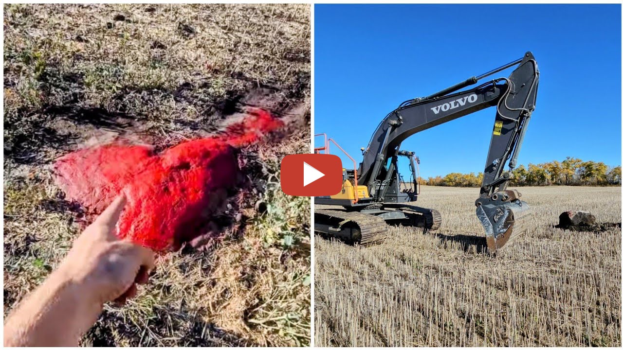 Mike Mitchell Hunting Dead Heads! So we are on Ashtyns 1/4 the one