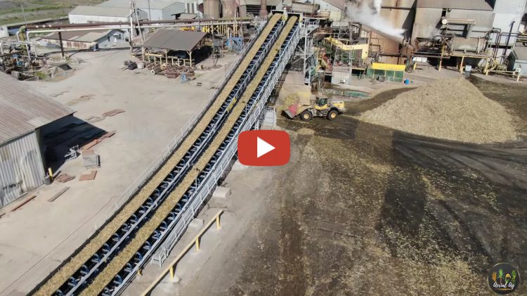 Westfield Sugar Factory 2023 Grinding Unloading truck on a special way