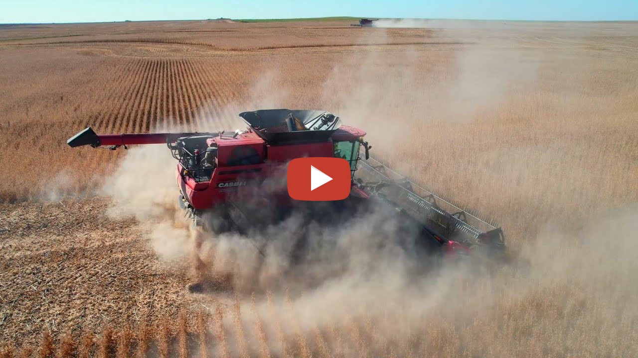 Doug Armknecht LaRosh Soybean Harvest 2023 Soybean harvest at the