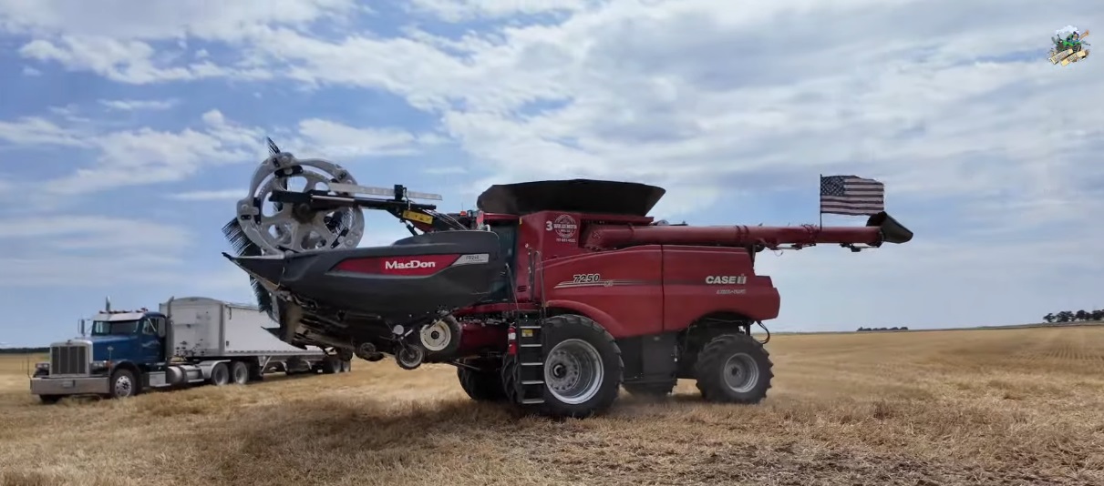 Mike Less Farmhand Mike 2024 I am out in an Oklahoma Wheat Field