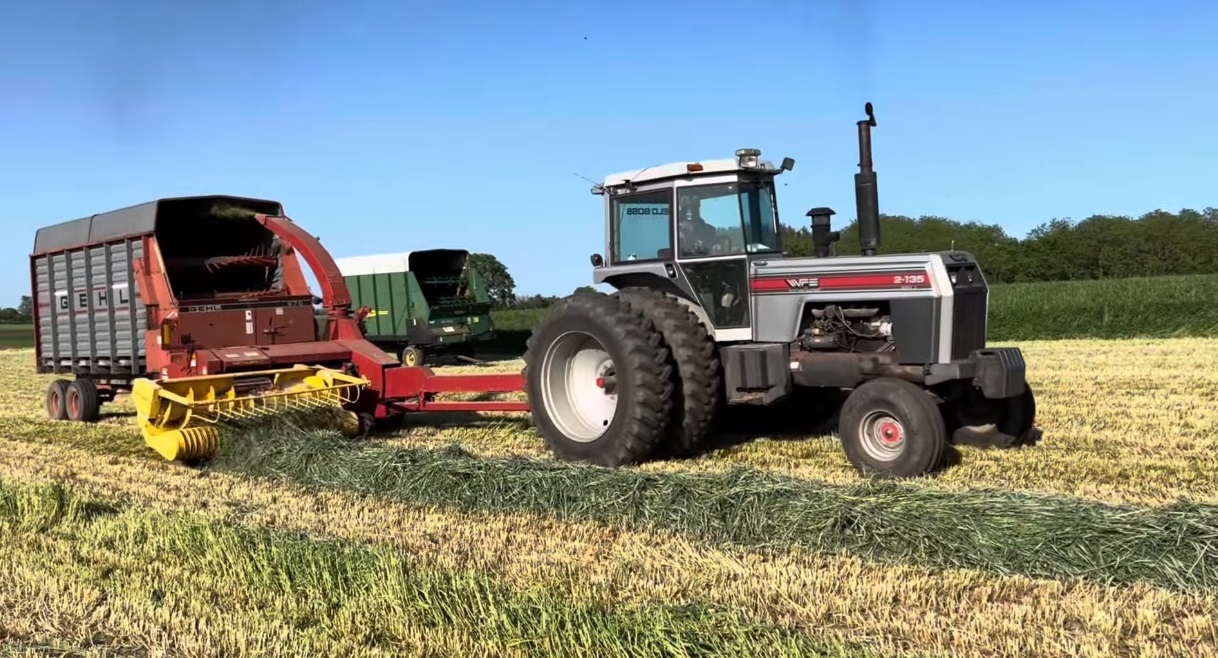 Triticale harvest! It’s as tall as me! Tractor troubles… Oliver Tractor