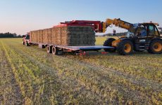 larson farms shop tour